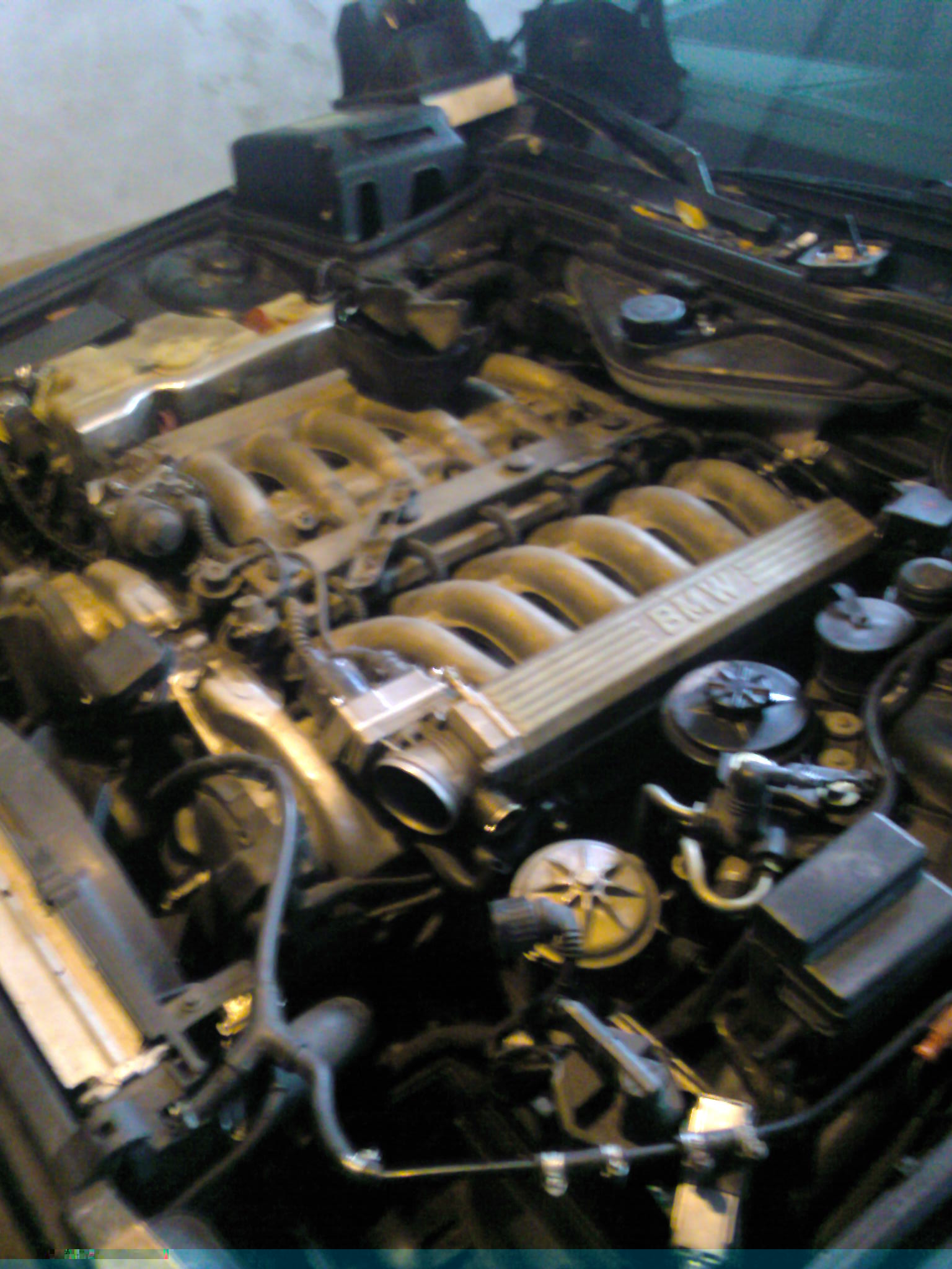 BMW M70B50 V12